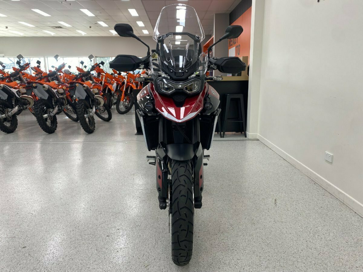 2024 TRIUMPH TIGER 900 GT PRO DUAL SPORTS