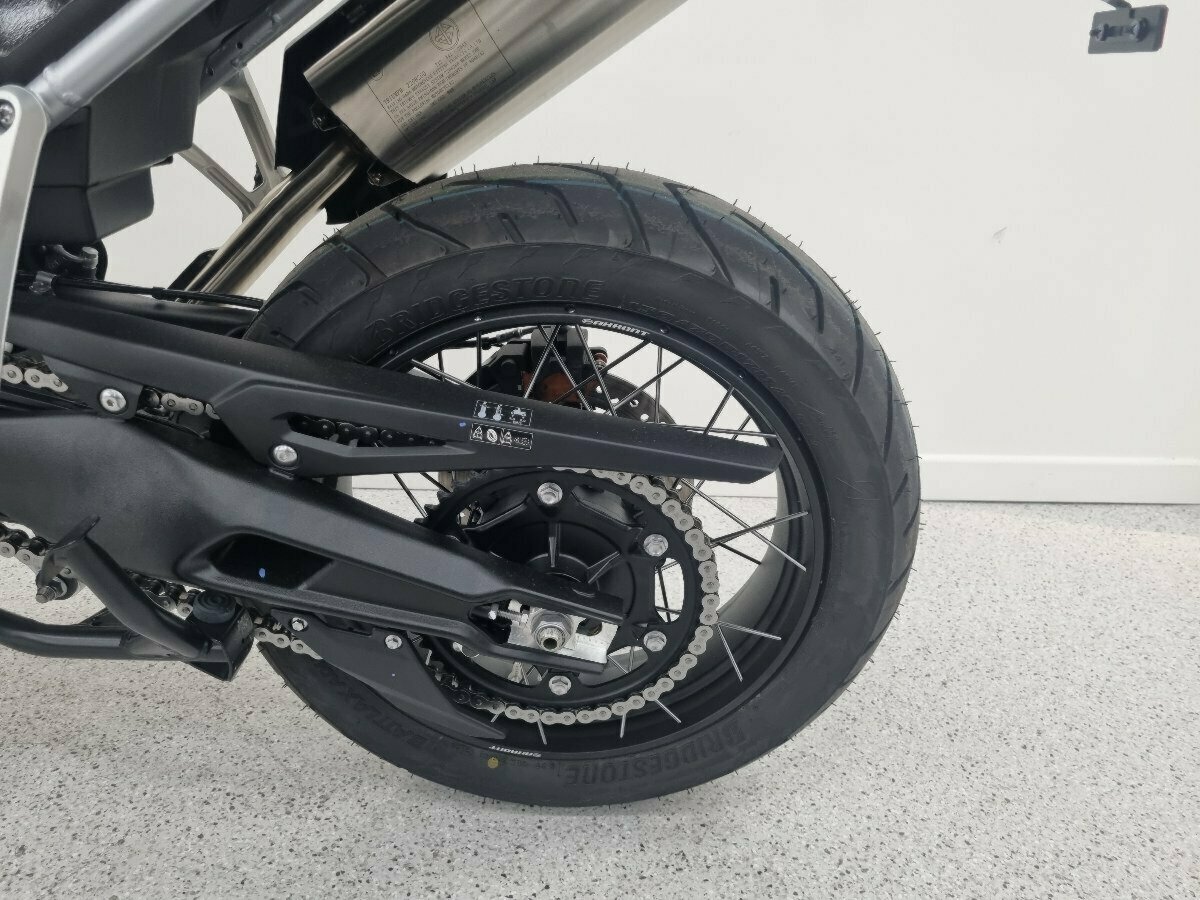 2024 TRIUMPH TIGER 900 RALLY PRO DUAL SPORTS