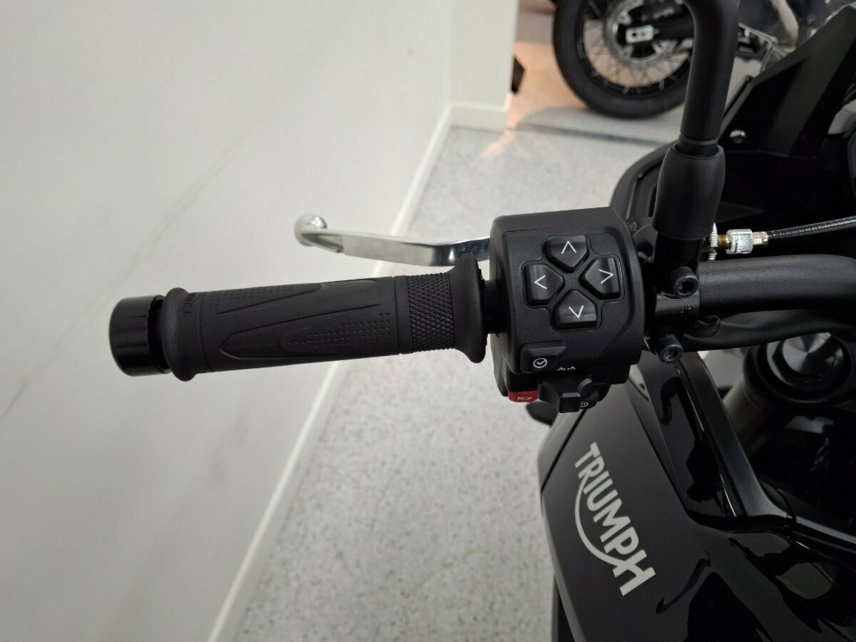 2024 TRIUMPH TIGER SPORT 660 DUAL SPORTS