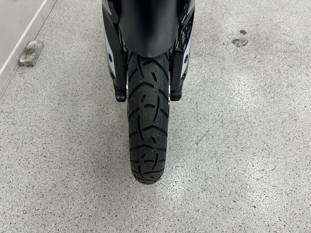 2025 TRIUMPH TIGER 900 RALLY PRO DUAL SPORTS