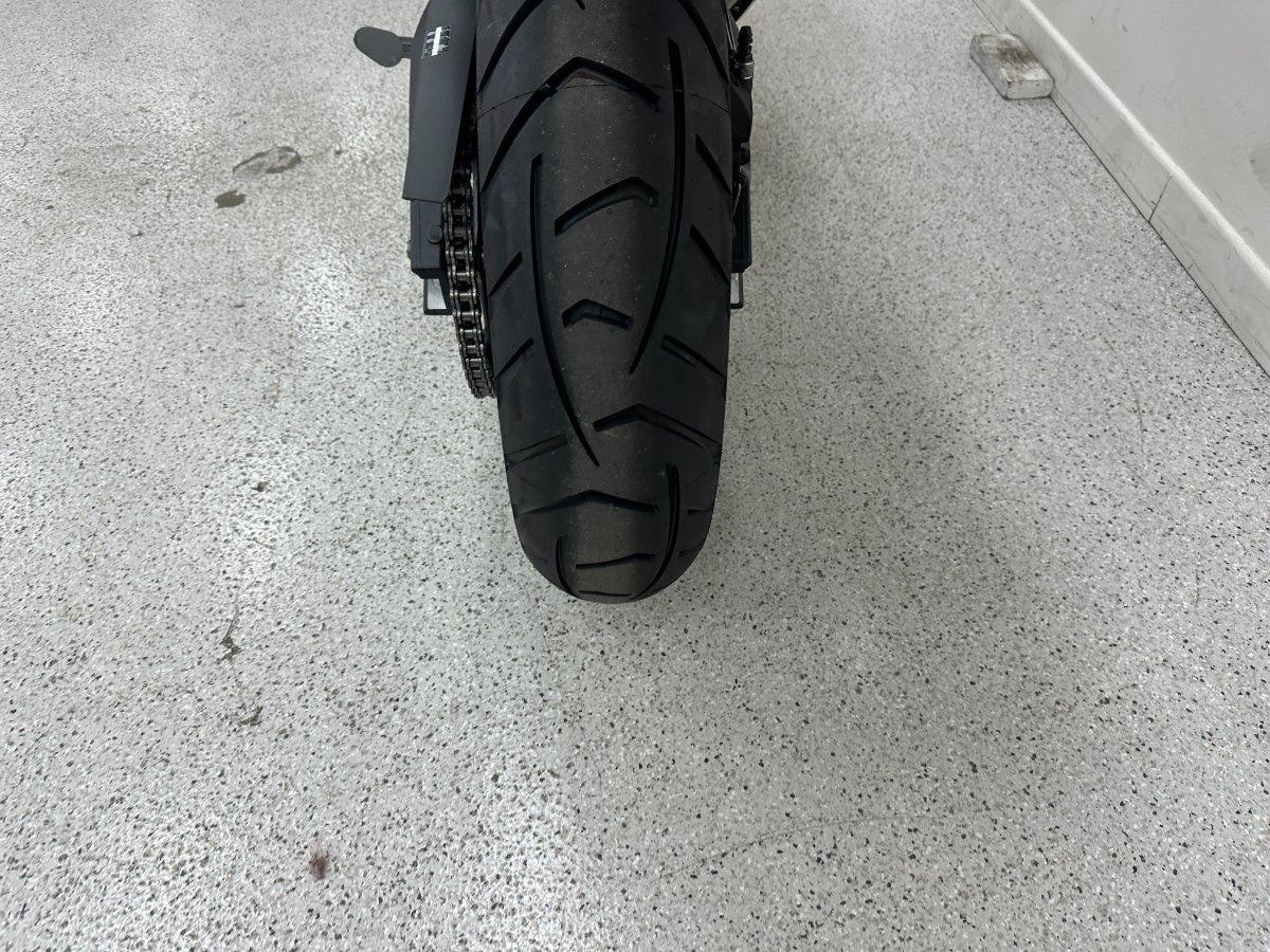 2025 TRIUMPH TIGER 900 RALLY PRO DUAL SPORTS
