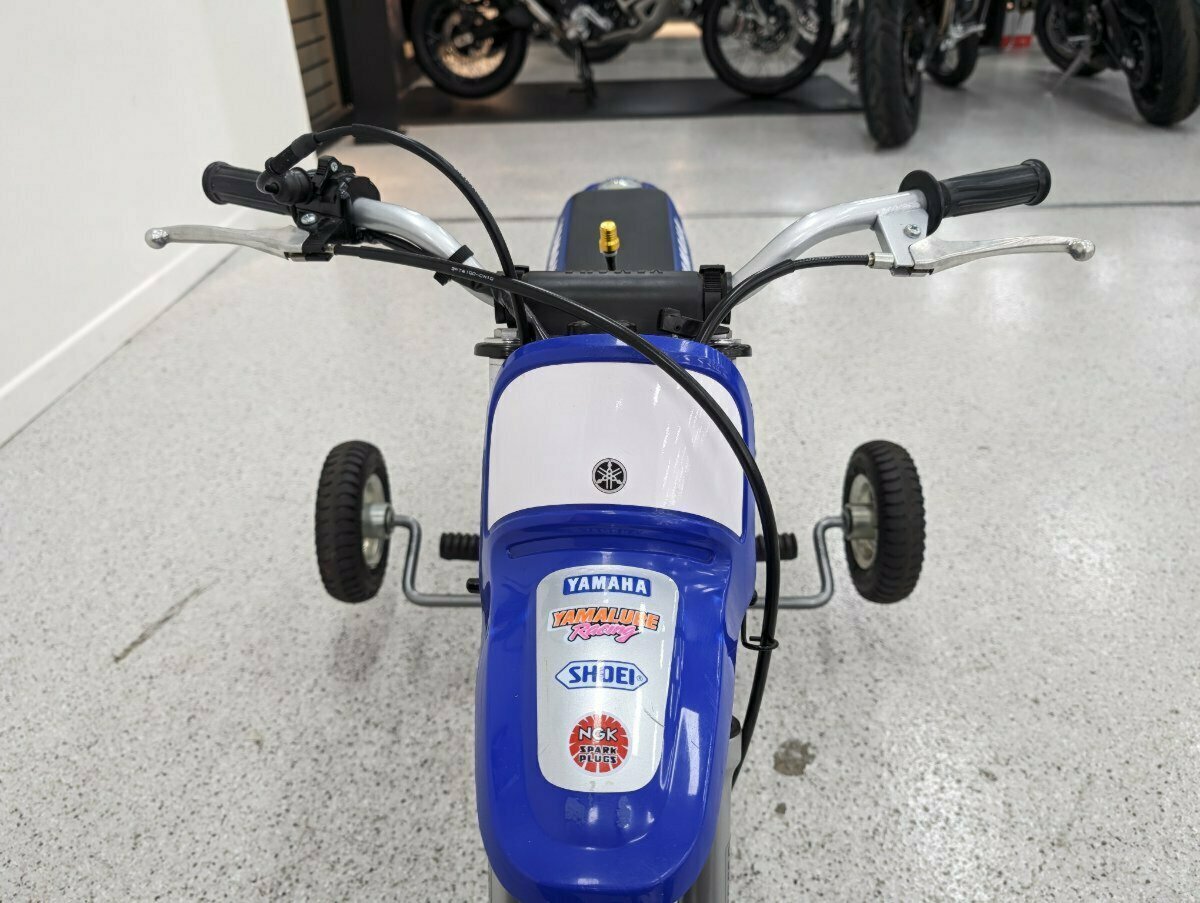 2021 YAMAHA PW50 (PEE-WEE) MINIBIKE