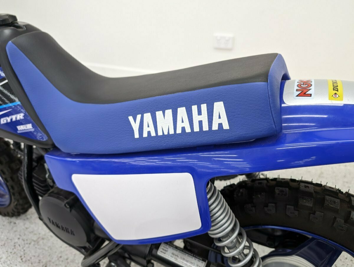 2021 YAMAHA PW50 (PEE-WEE) MINIBIKE