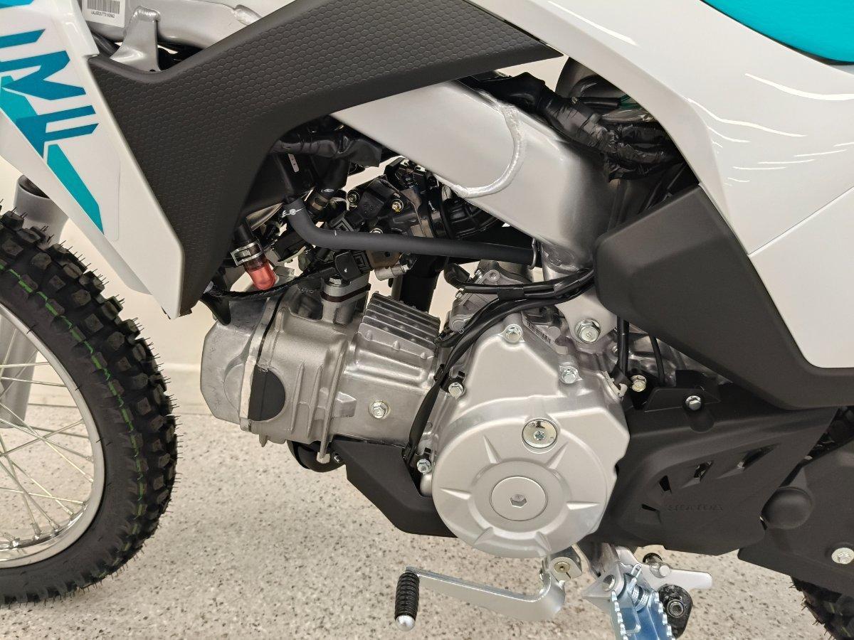2026 HONDA CRF110F MINI BIKE