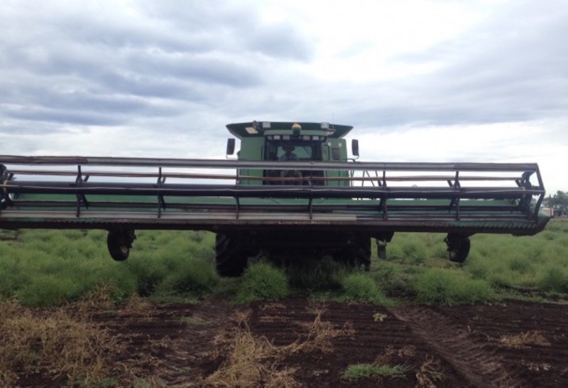 JOHN DEERE 936D Harvester Header