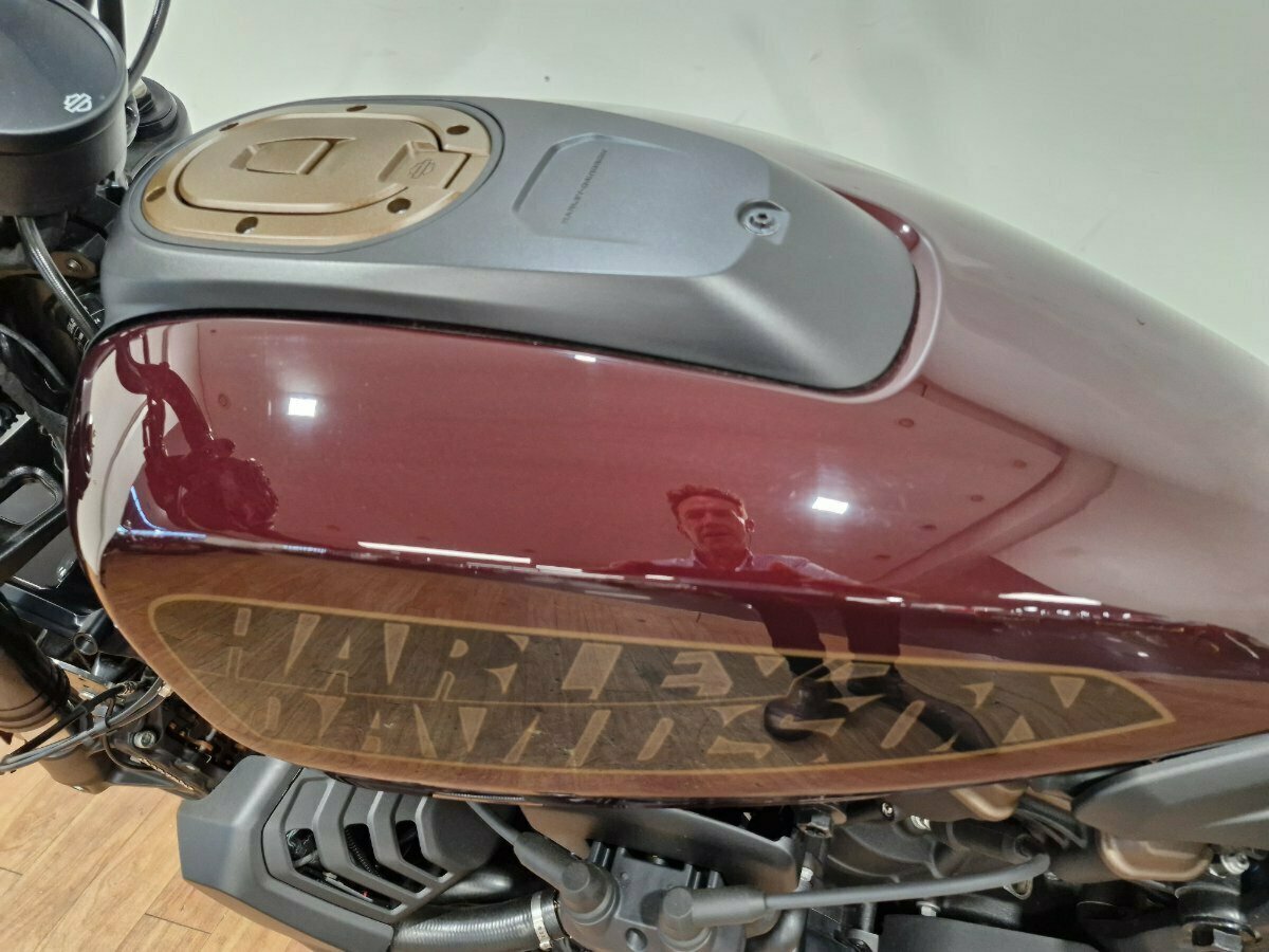 2022 HARLEY-DAVIDSON SPORTSTER S CRUISER