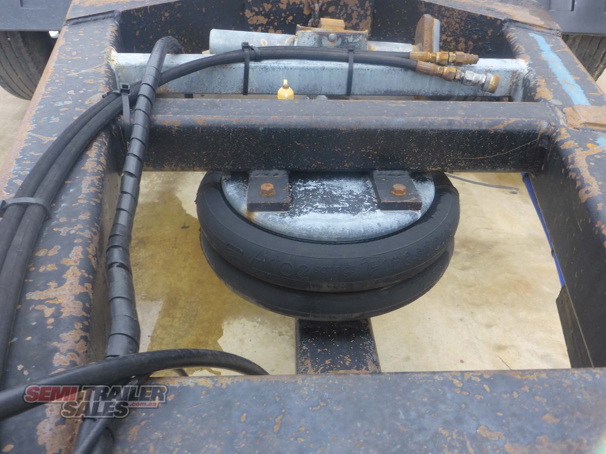 WESE DOG TRAILER