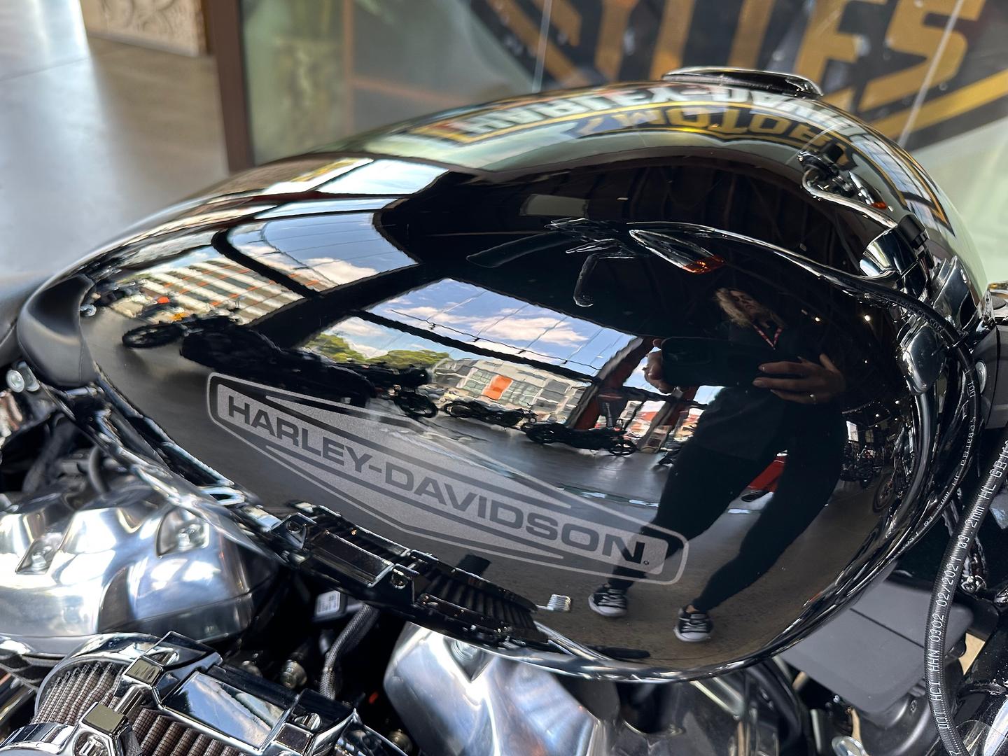2022 HARLEY-DAVIDSON SOFTAIL STANDARD 107 (FXST) CRUISER