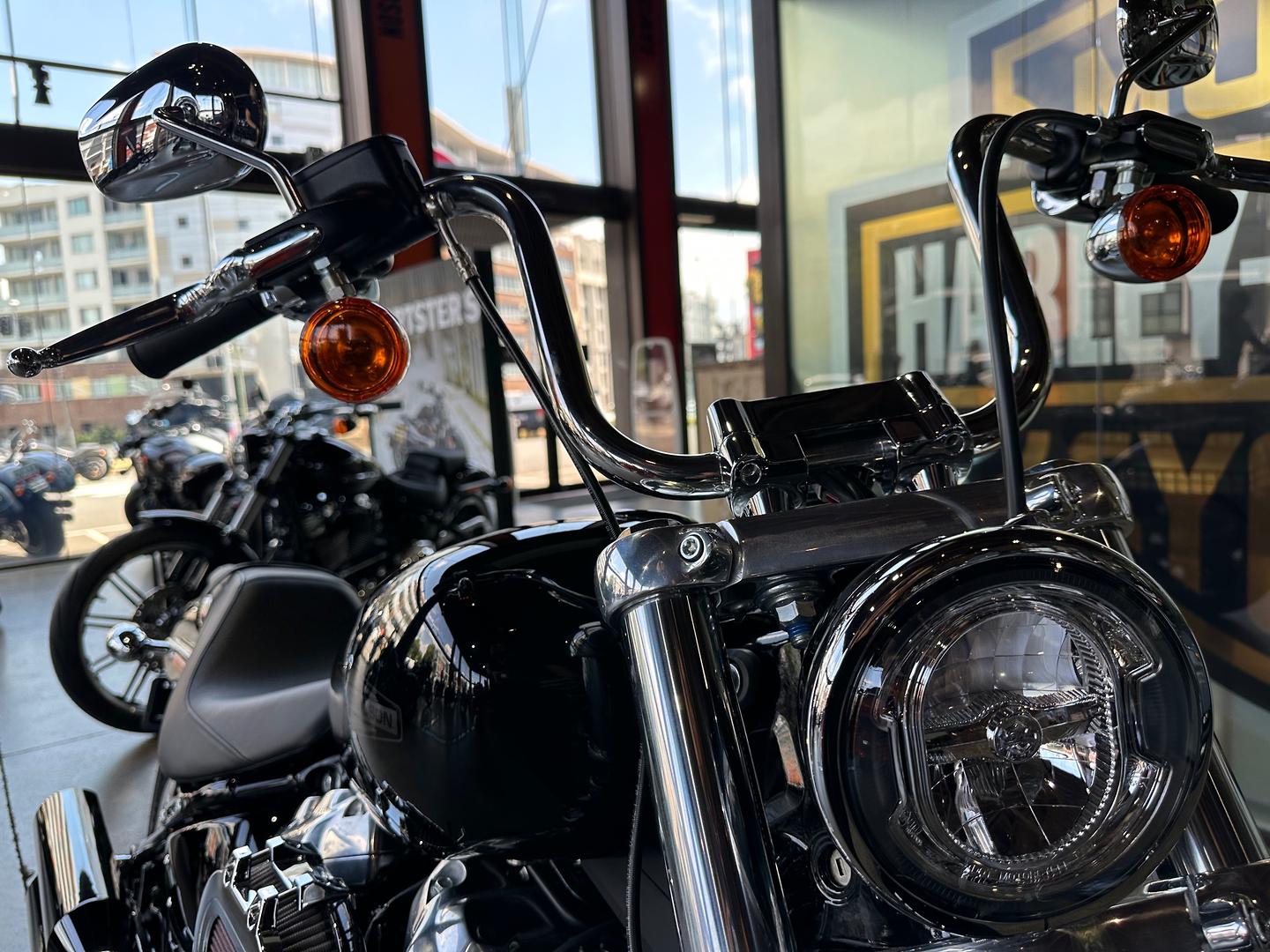 2022 HARLEY-DAVIDSON SOFTAIL STANDARD 107 (FXST) CRUISER