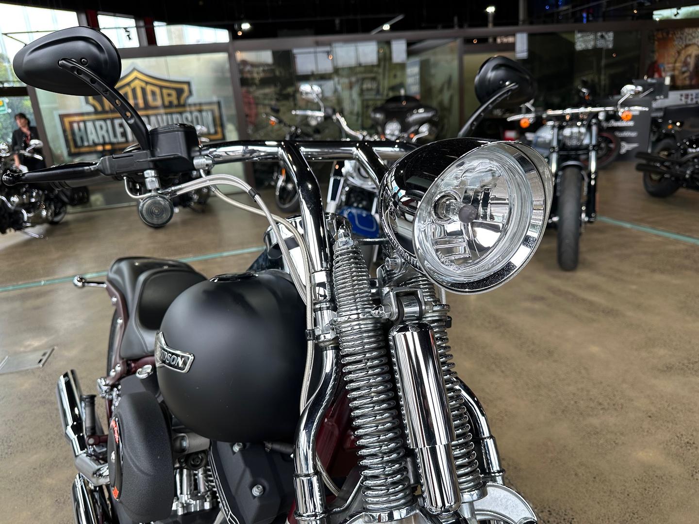 2008 HARLEY-DAVIDSON NIGHT TRAIN 1584 (FXSTB) CRUISER