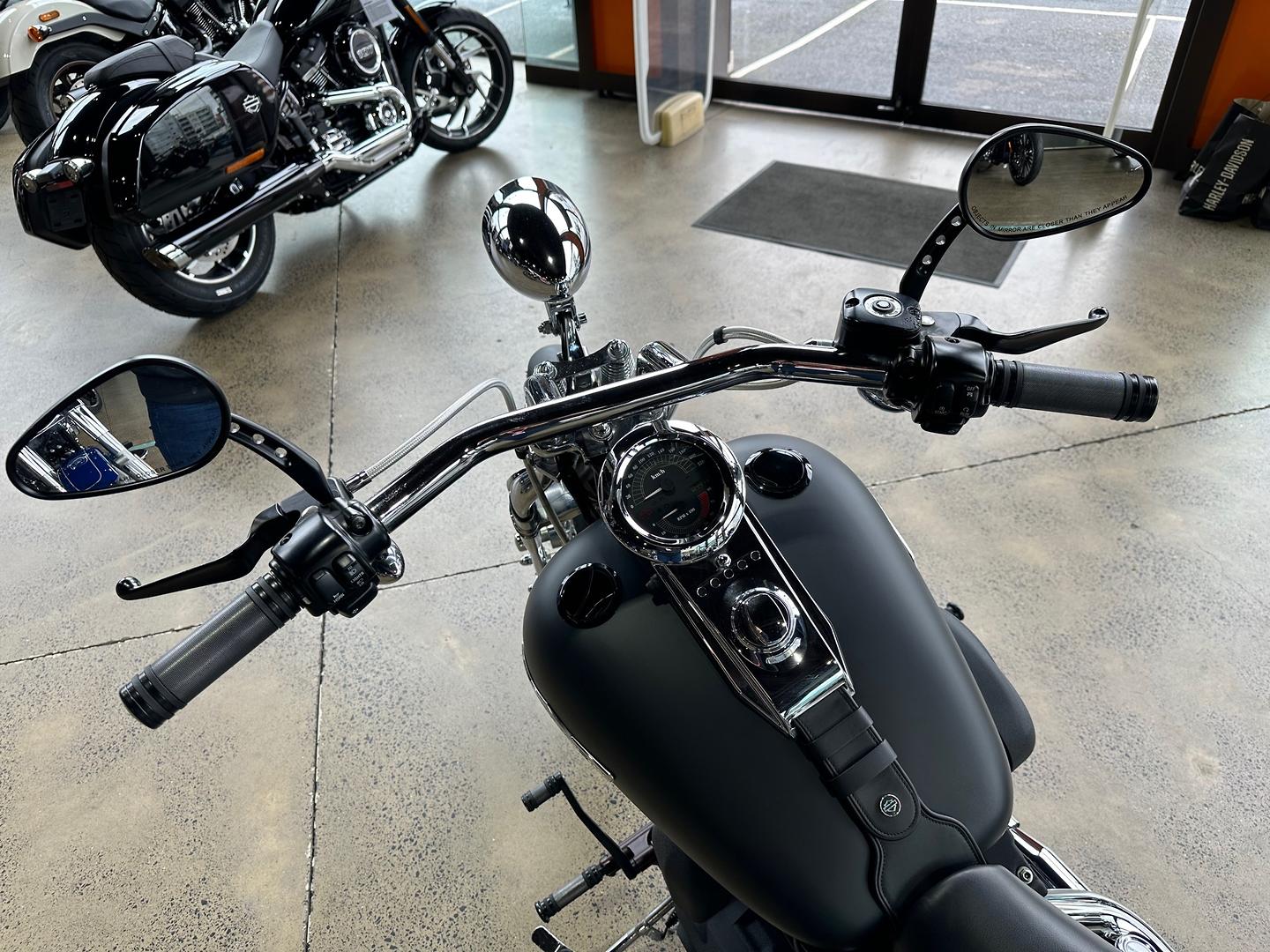 2008 HARLEY-DAVIDSON NIGHT TRAIN 1584 (FXSTB) CRUISER