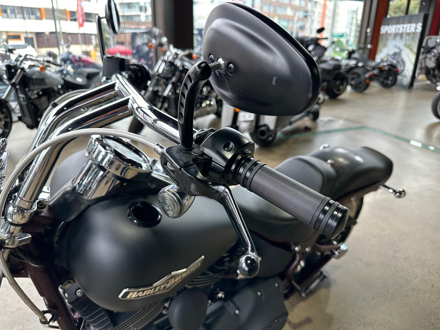 2008 HARLEY-DAVIDSON NIGHT TRAIN 1584 (FXSTB) CRUISER
