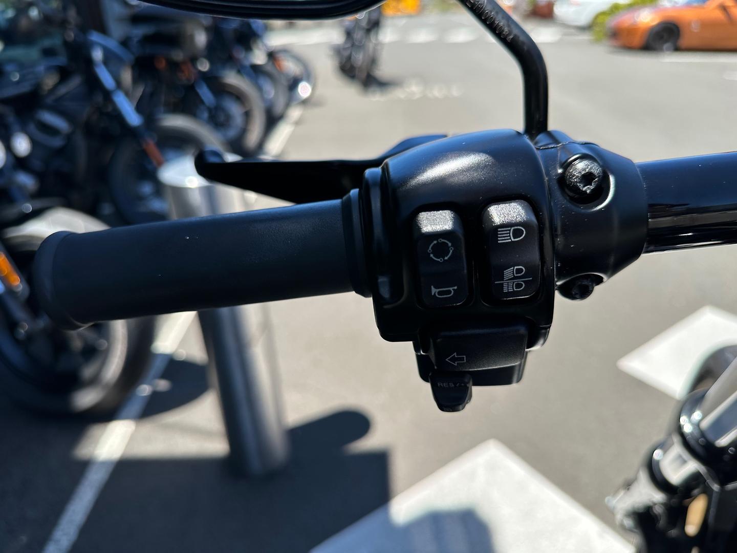 2017 HARLEY-DAVIDSON LOW RIDER S (FXDLS) CRUISER