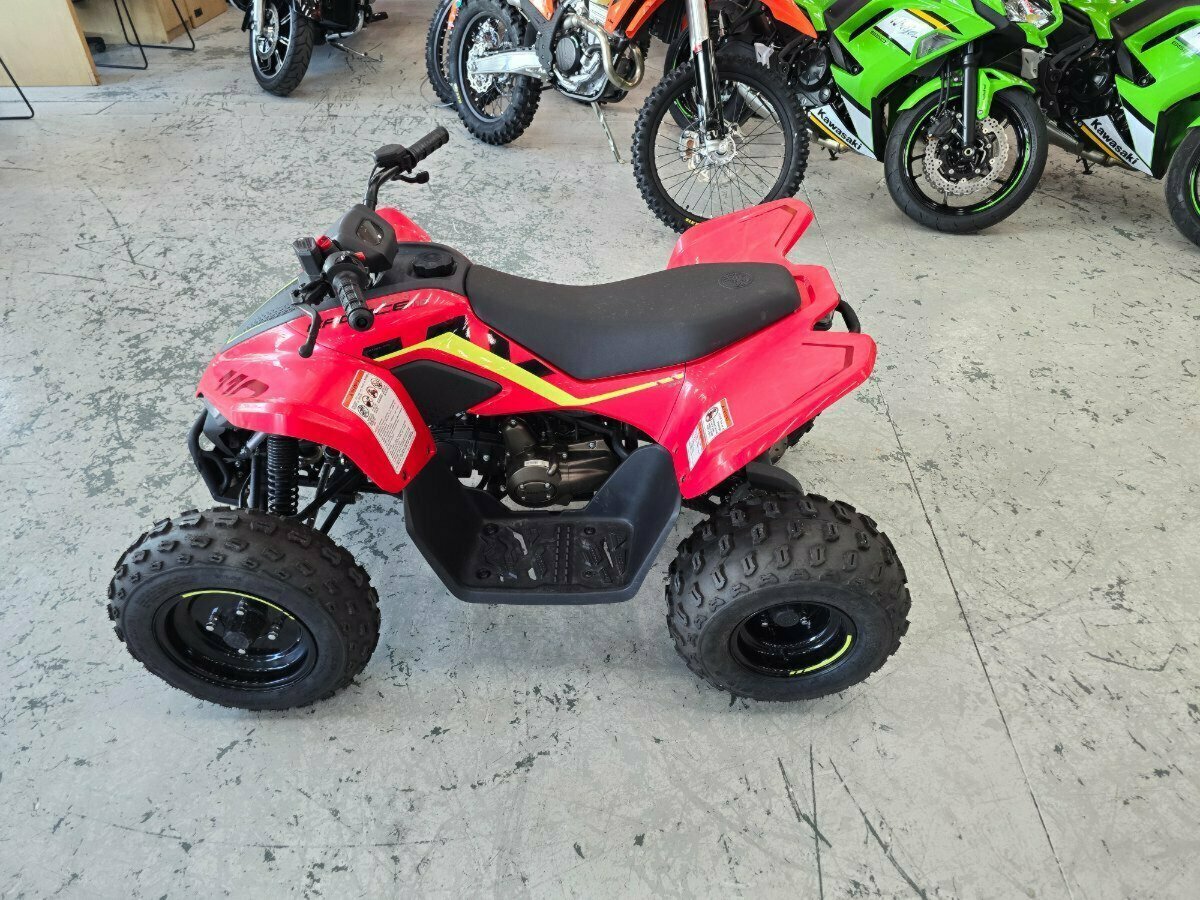 2023 CF MOTO C FORCE 110 ATV