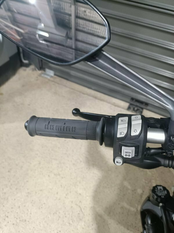 2020 DUCATI MONSTER 821 ROAD