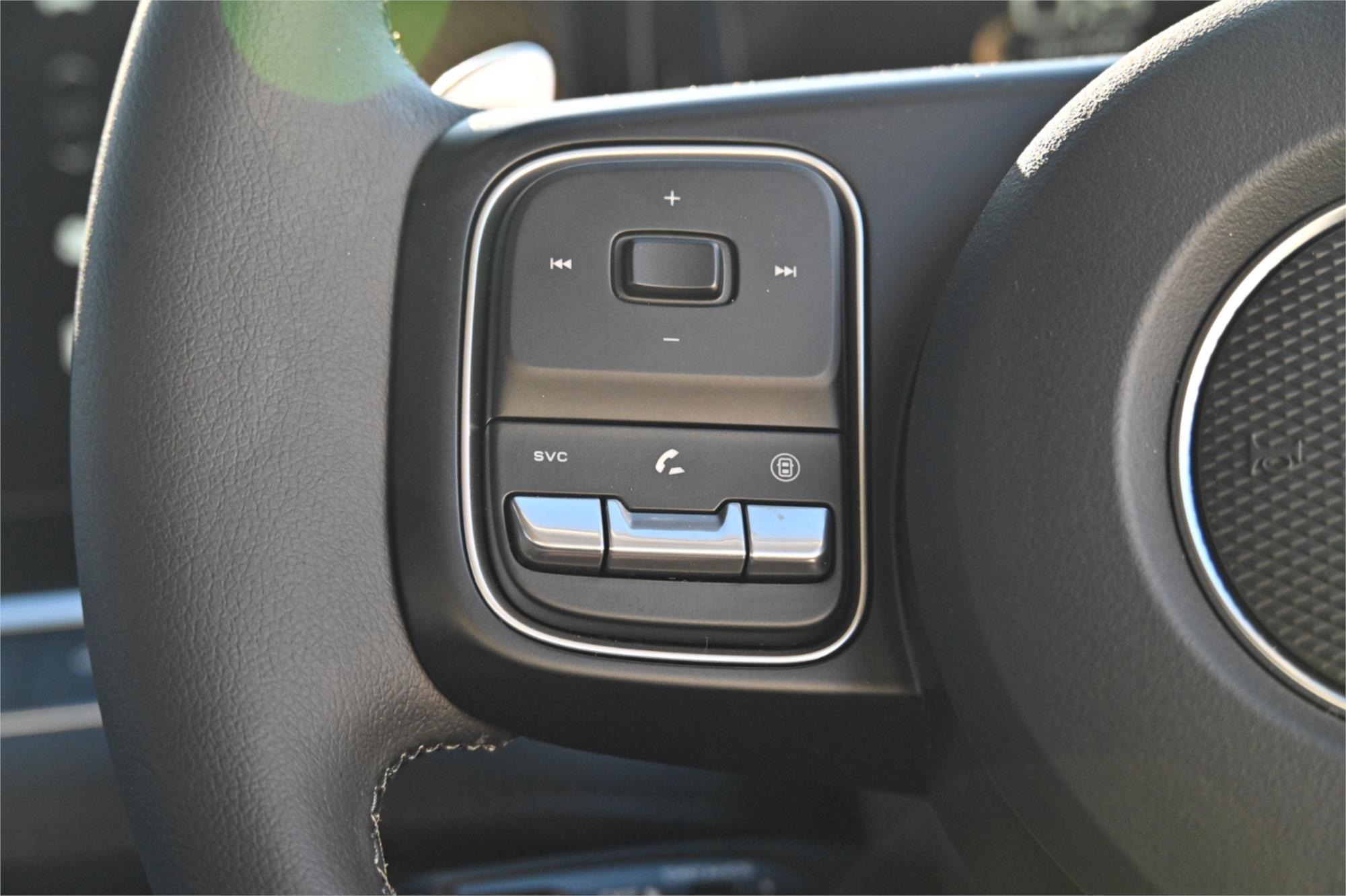 2025 GWM CANNON NPW LUX SPORTS AUTOMATIC TRAYTOP