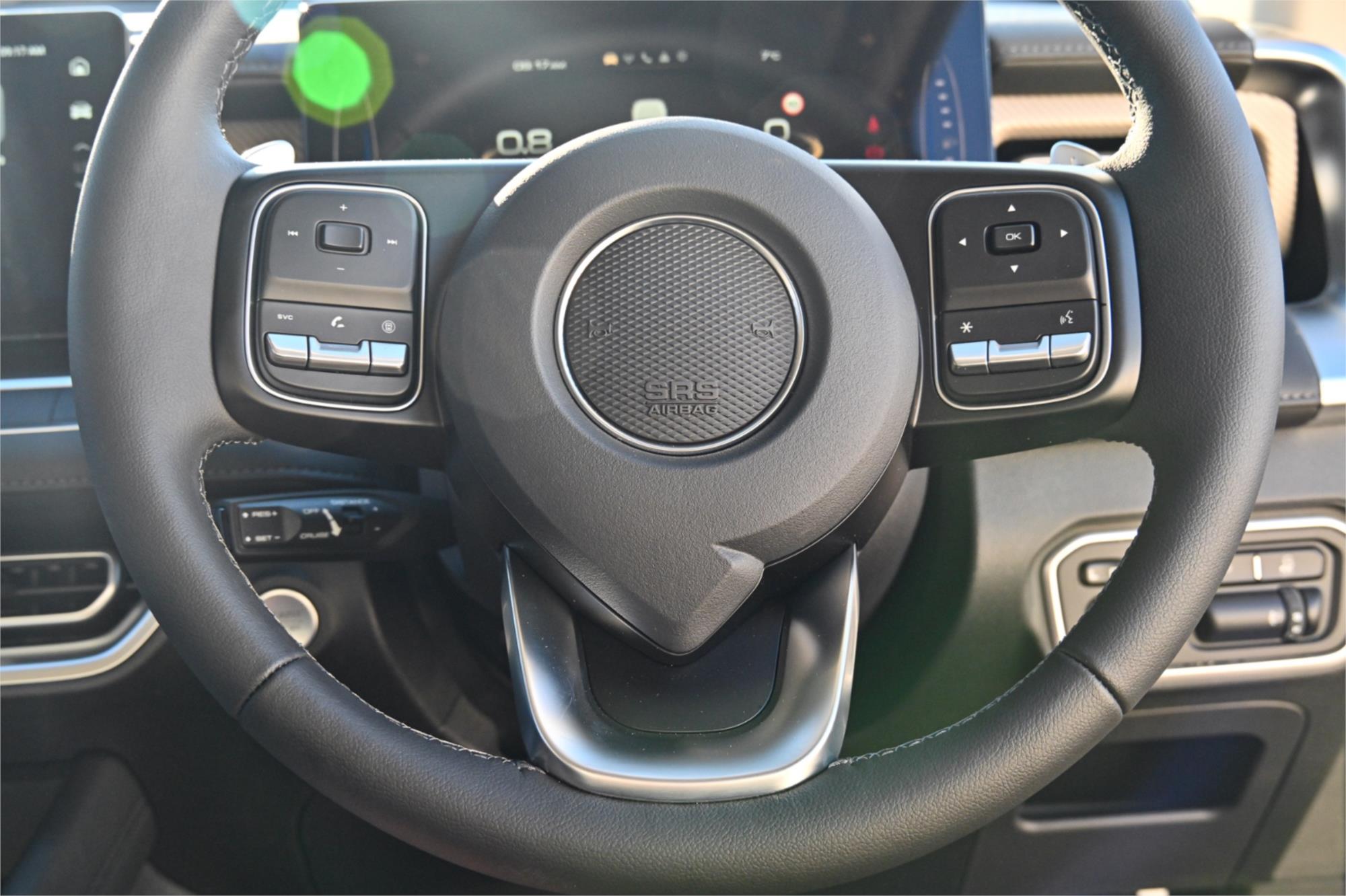 2025 GWM CANNON NPW LUX SPORTS AUTOMATIC TRAYTOP