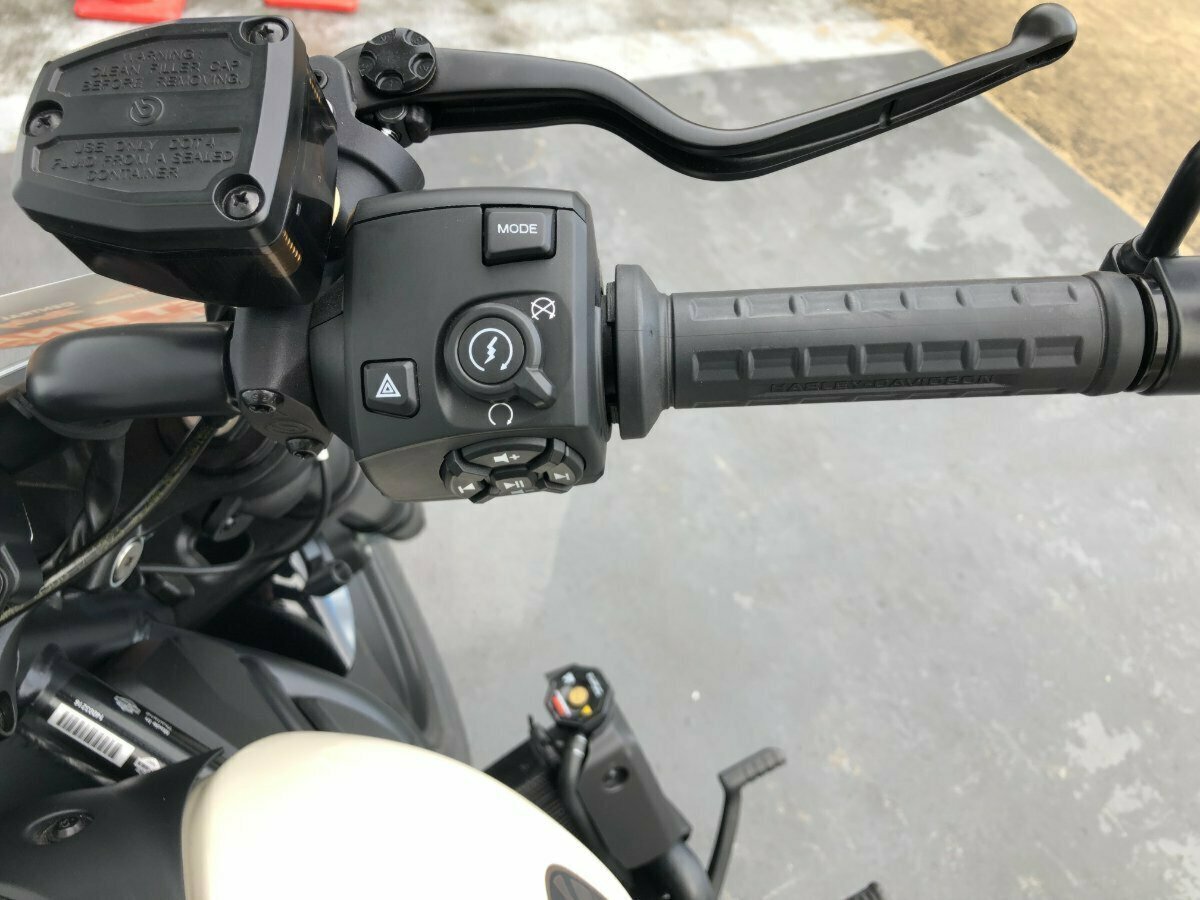 2023 HARLEY-DAVIDSON SPORTSTER S CRUISER
