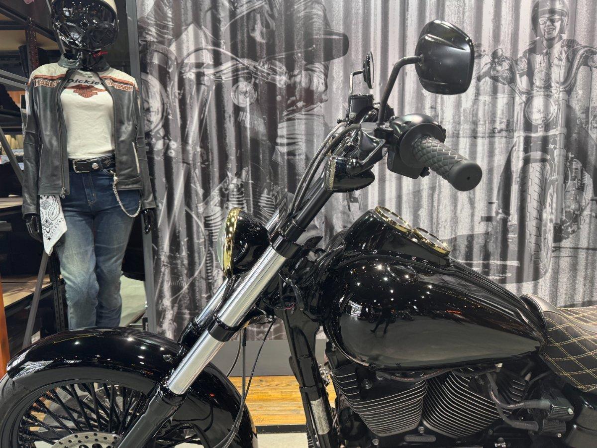 2017 HARLEY-DAVIDSON LOW RIDER S (FXDLS)