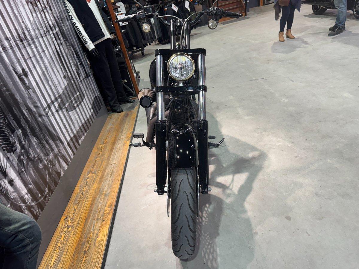2017 HARLEY-DAVIDSON LOW RIDER S (FXDLS)