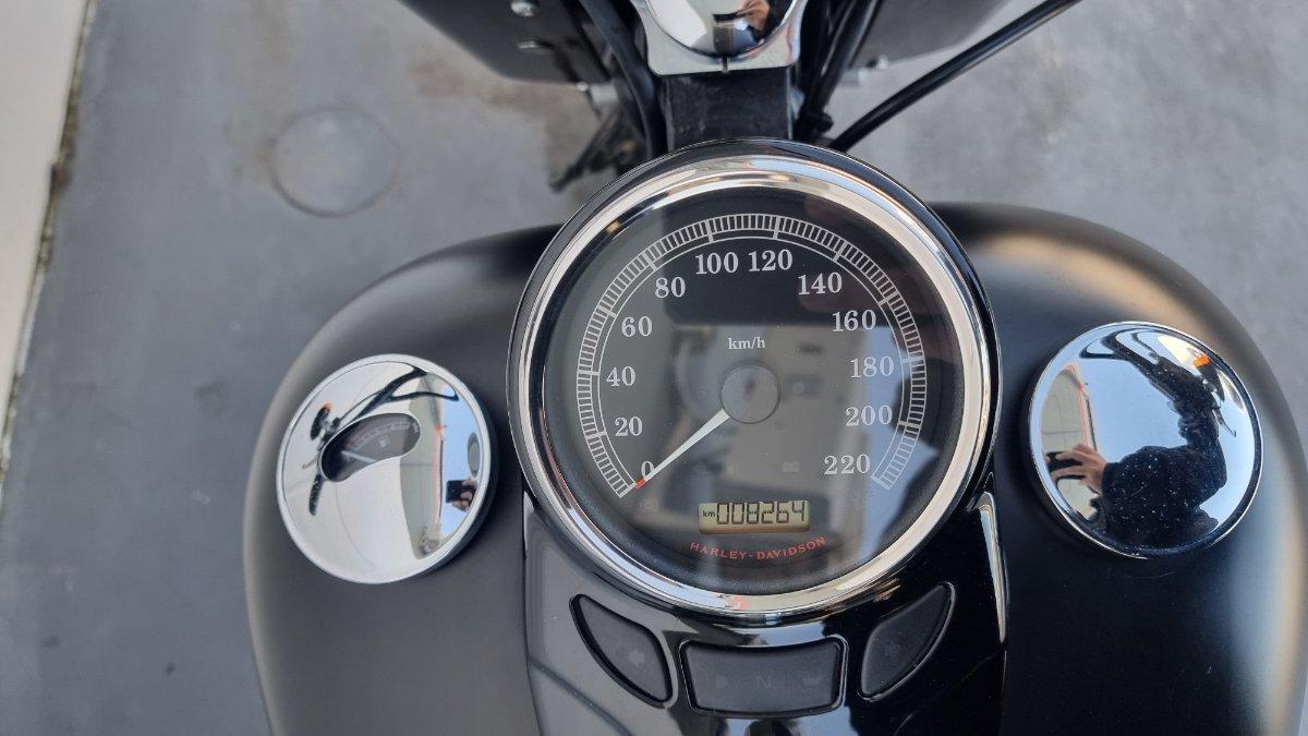 2016 HARLEY-DAVIDSON SOFTAIL SLIM (FLS) CRUISER