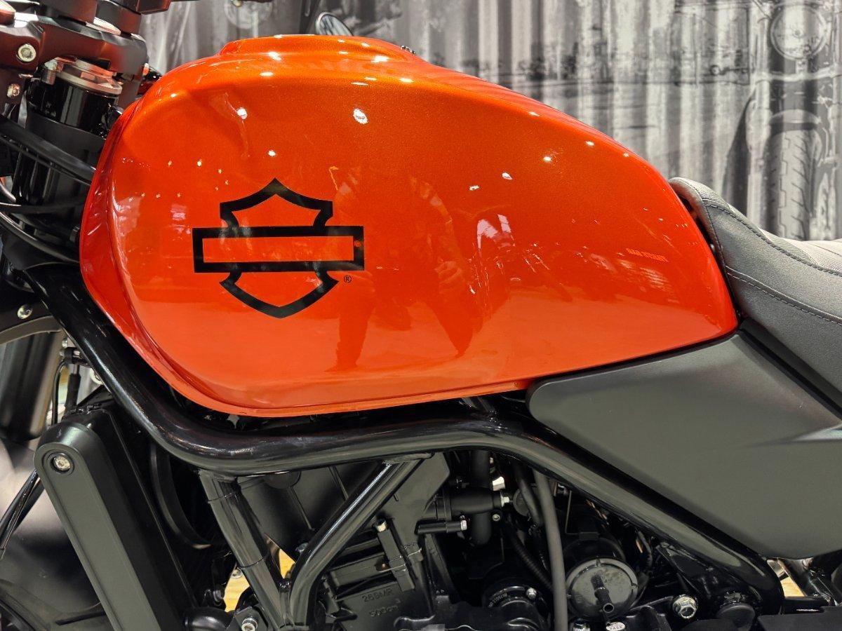 2024 HARLEY-DAVIDSON X 500 CRUISER