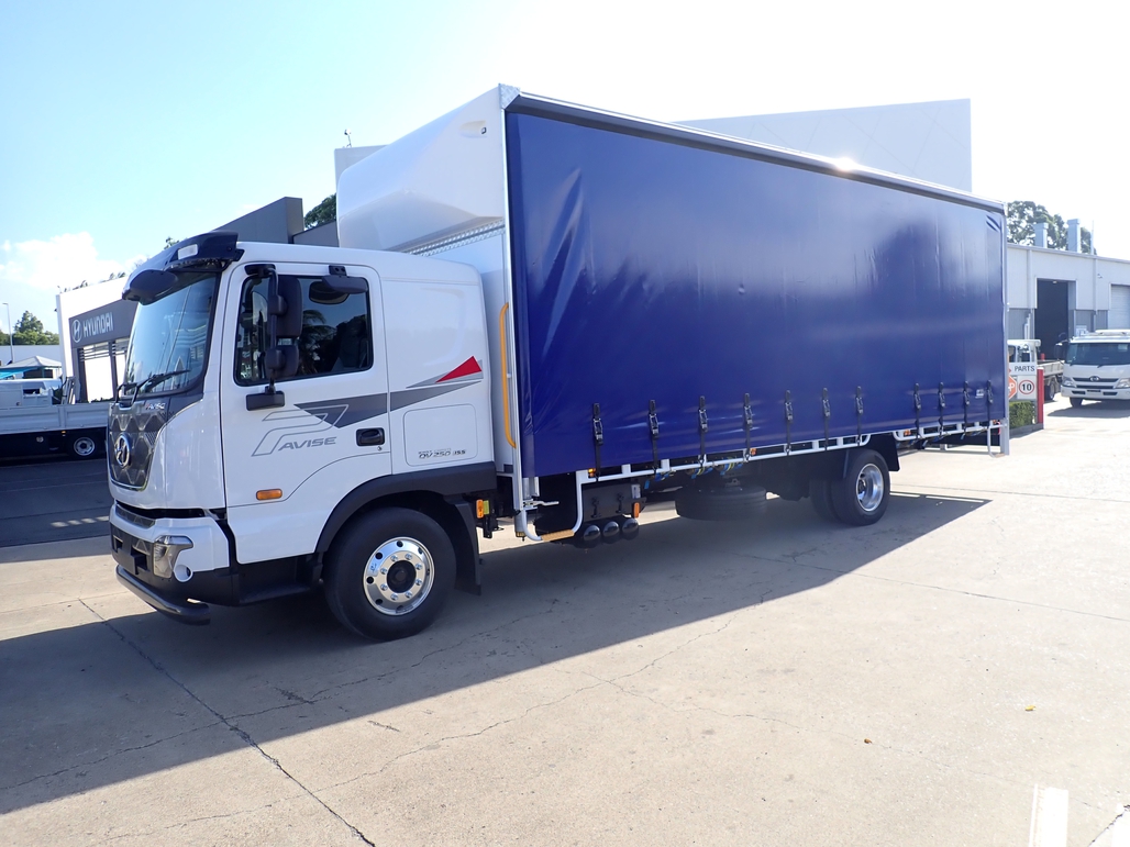 2022 HYUNDAI D115 PAVISE MANUAL TAUTLINER