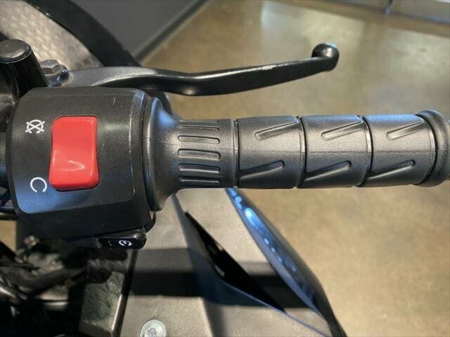 2013 KAWASAKI NINJA 300 (EX300A) SPORTS