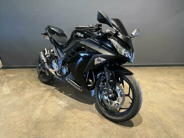 2013 KAWASAKI NINJA 300 (EX300A) SPORTS