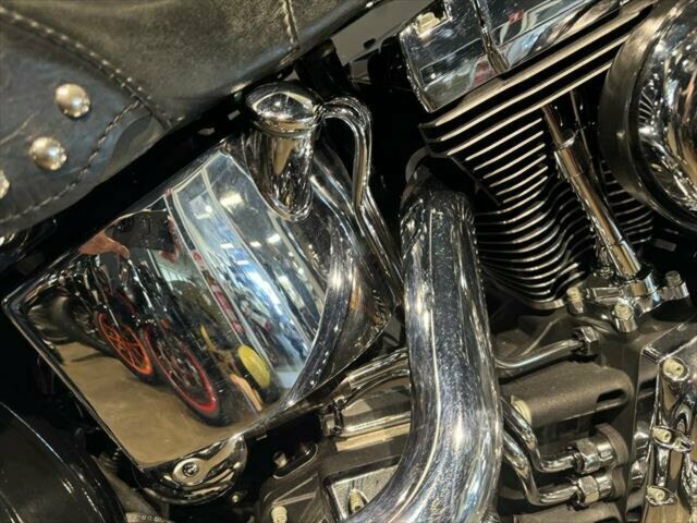 2002 HARLEY-DAVIDSON HERITAGE SOFTAIL CLASSIC 100TH ANV MANUAL
