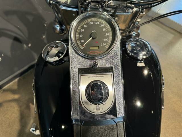 2002 HARLEY-DAVIDSON HERITAGE SOFTAIL CLASSIC 100TH ANV MANUAL