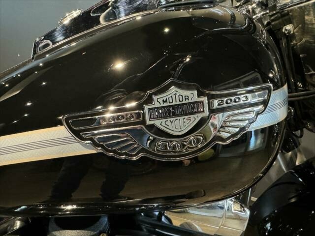 2002 HARLEY-DAVIDSON HERITAGE SOFTAIL CLASSIC 100TH ANV MANUAL