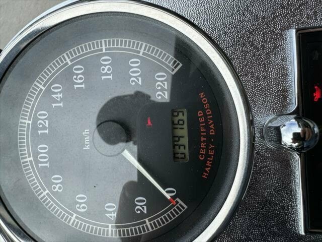 2002 HARLEY-DAVIDSON HERITAGE SOFTAIL CLASSIC 100TH ANV MANUAL