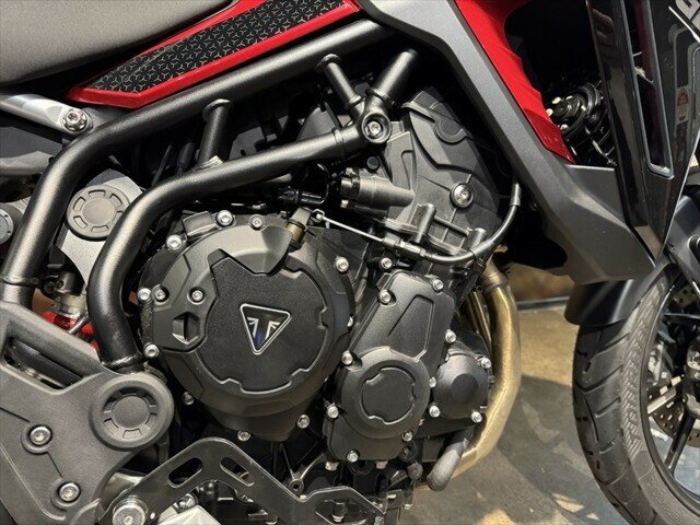 2024 TRIUMPH TIGER 900 GT PRO DUAL SPORTS