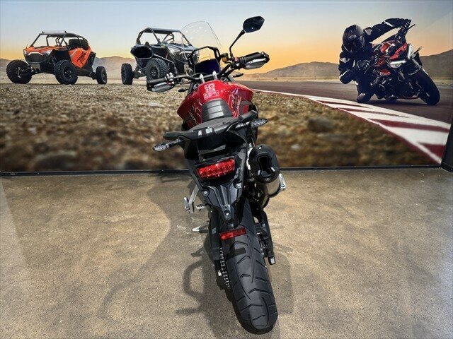 2024 TRIUMPH TIGER 900 GT PRO DUAL SPORTS