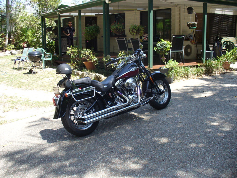 2005 HARLEY-DAVIDSON SOFTAIL FLSTSC SOFTAIL SPRINGER CLASSIC MY05