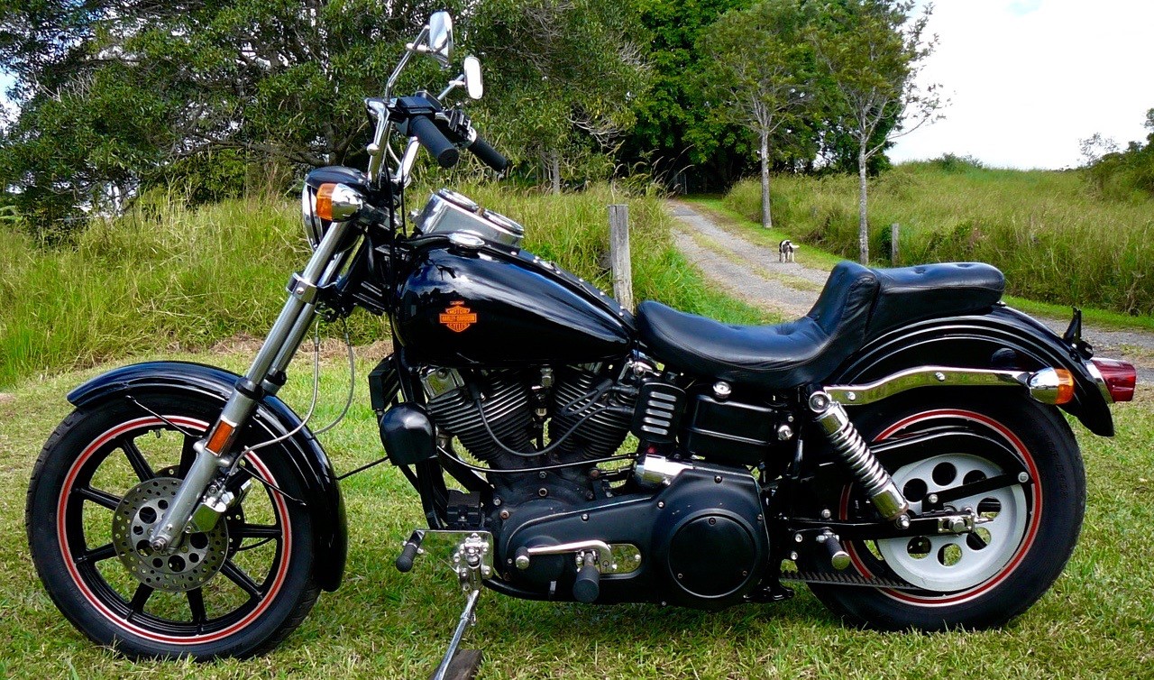 1981 Harley-Davidson FXB (Sturgis) Cruiser