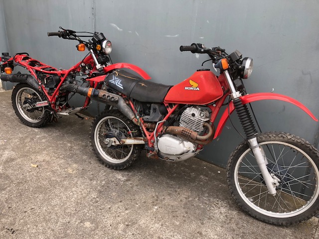 1982 Honda XL500