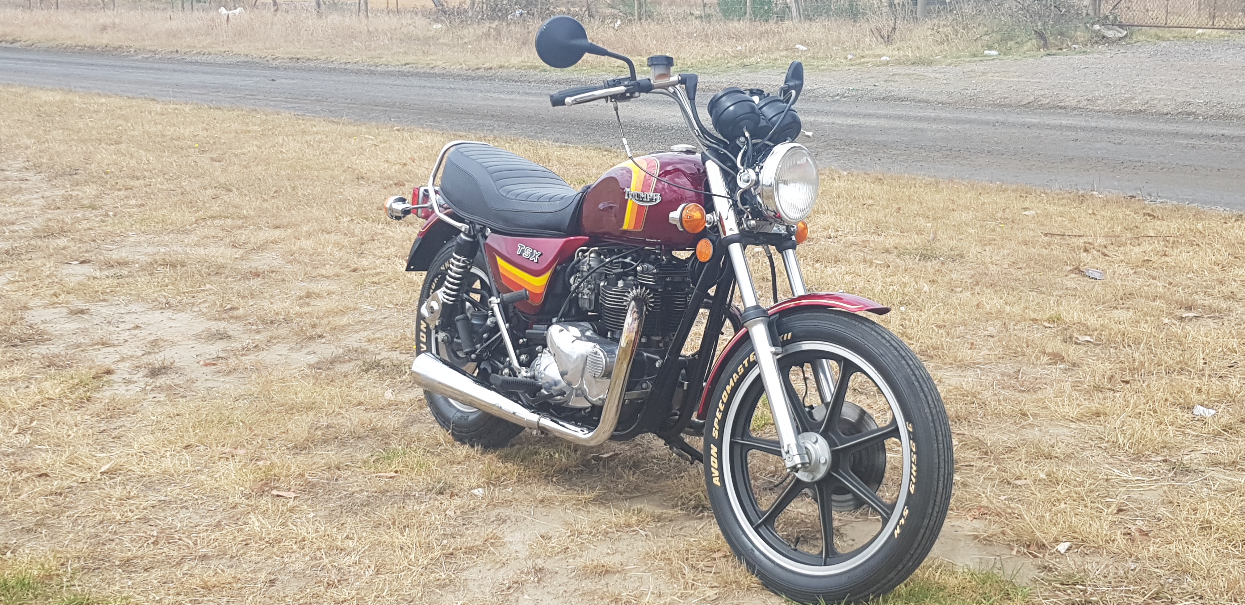 1982 Triumph TSX