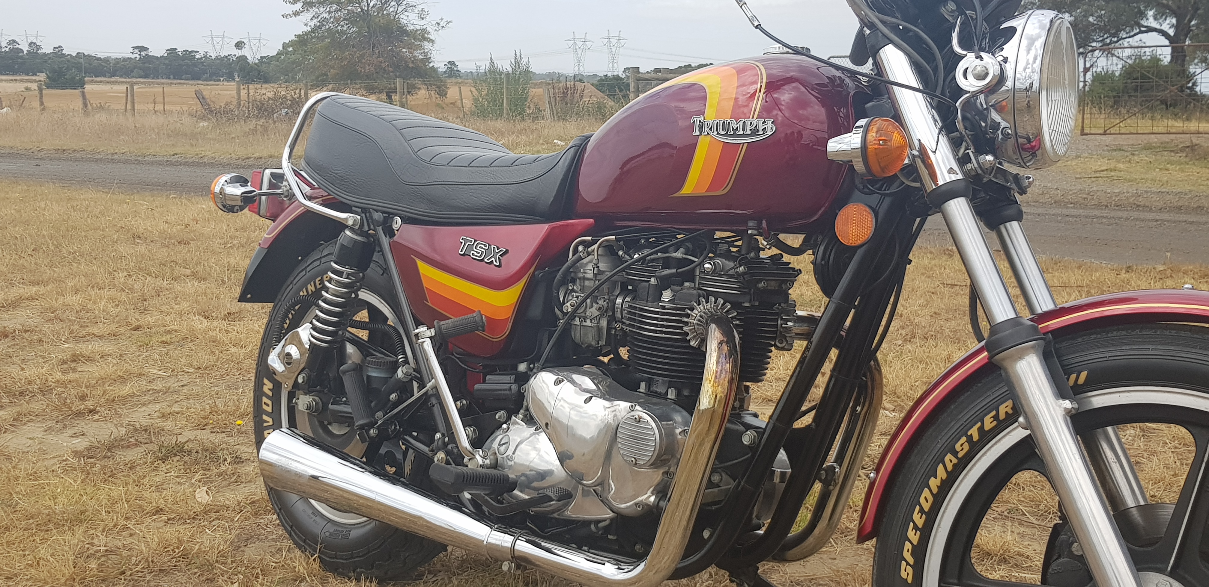 1982 Triumph TSX
