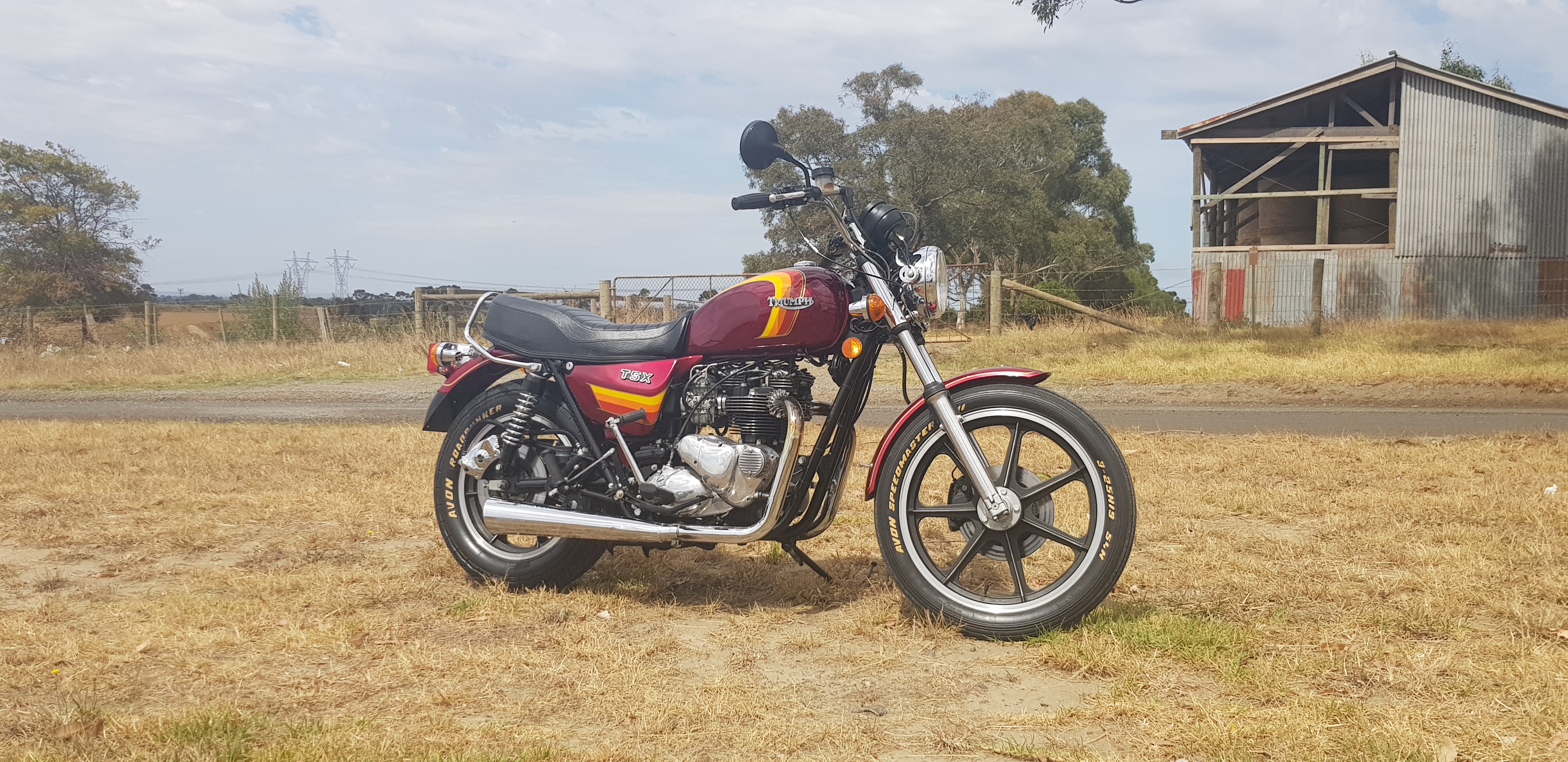 1982 Triumph TSX