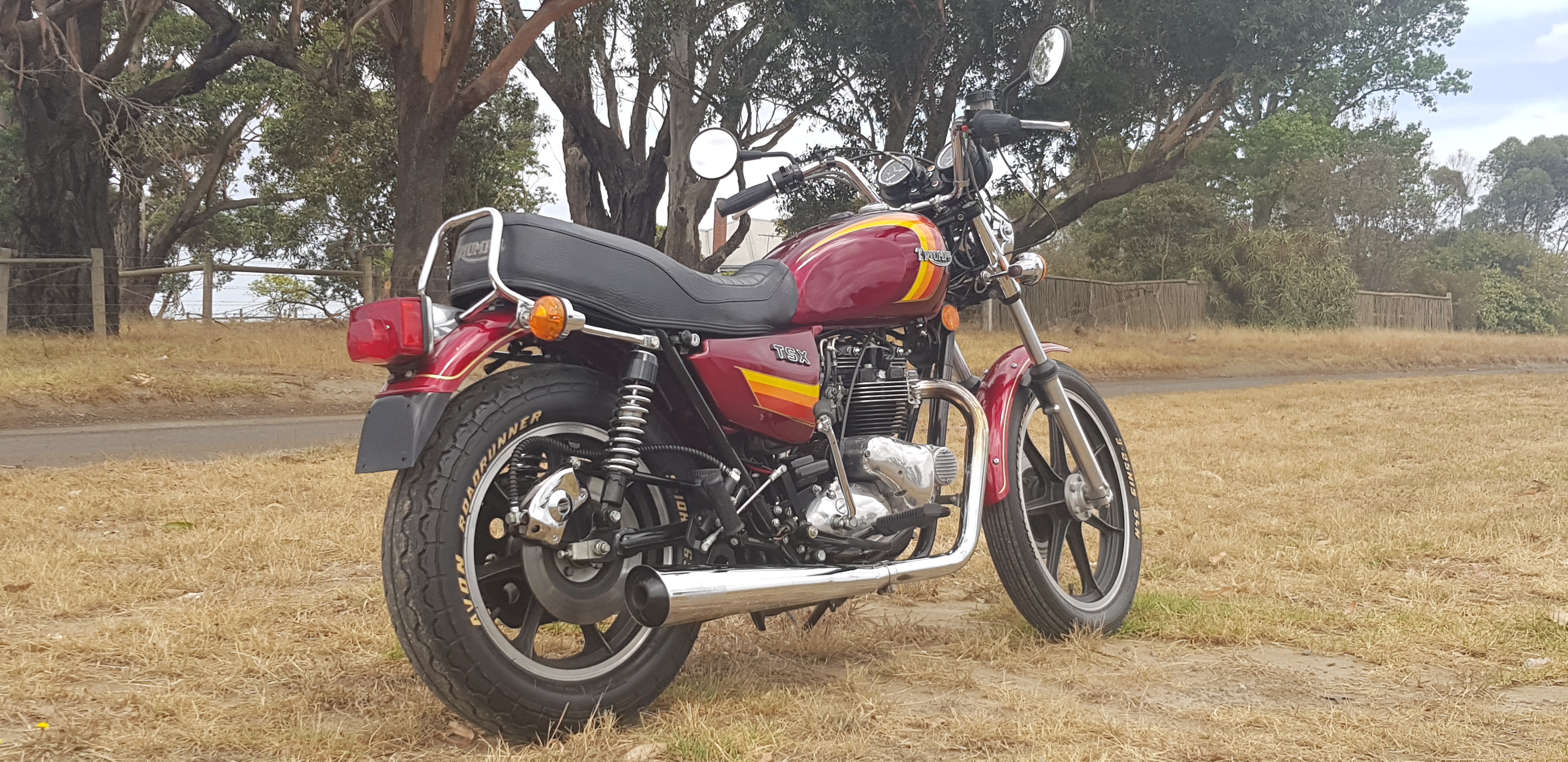 1982 Triumph TSX