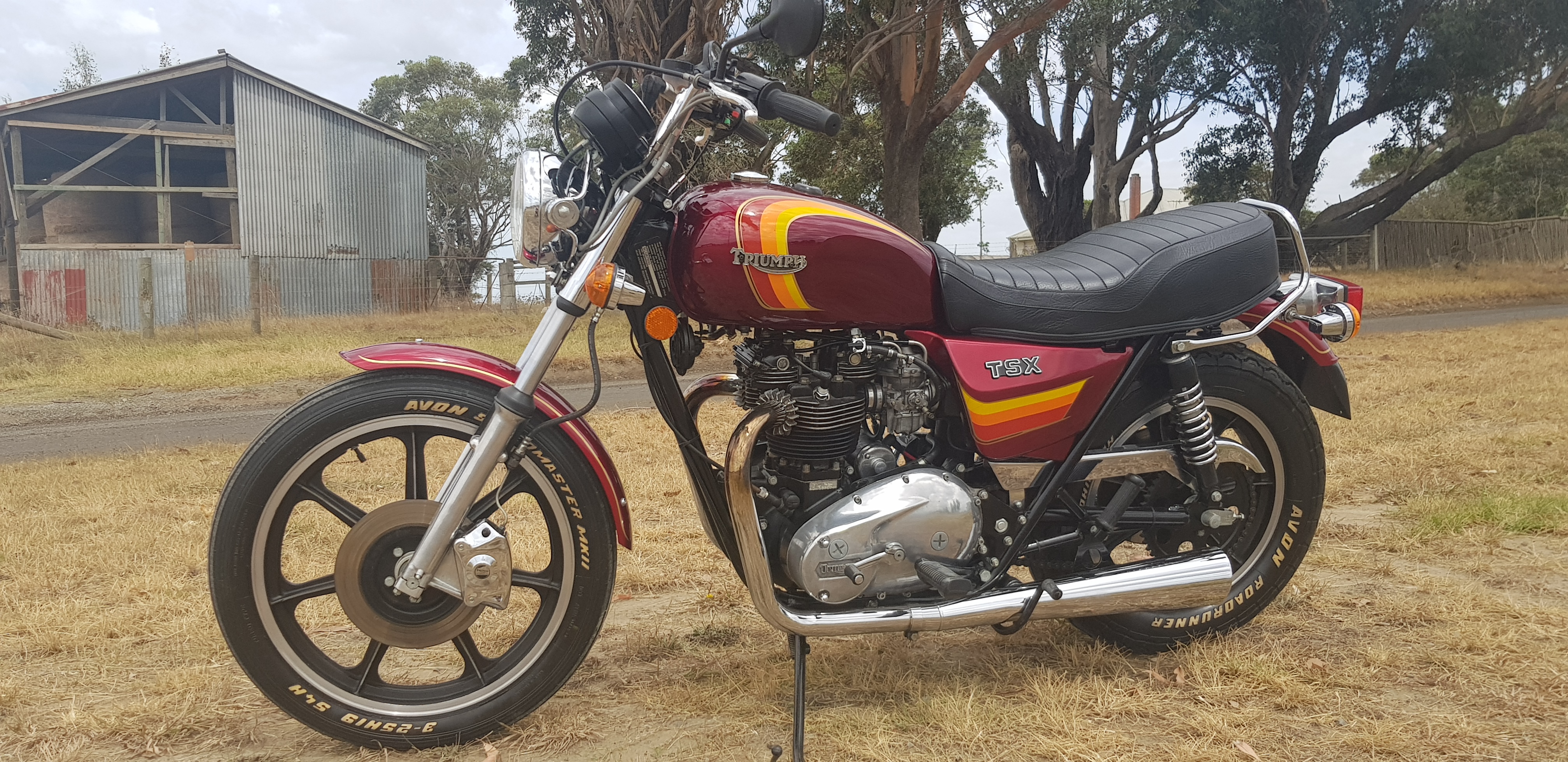 1982 Triumph TSX