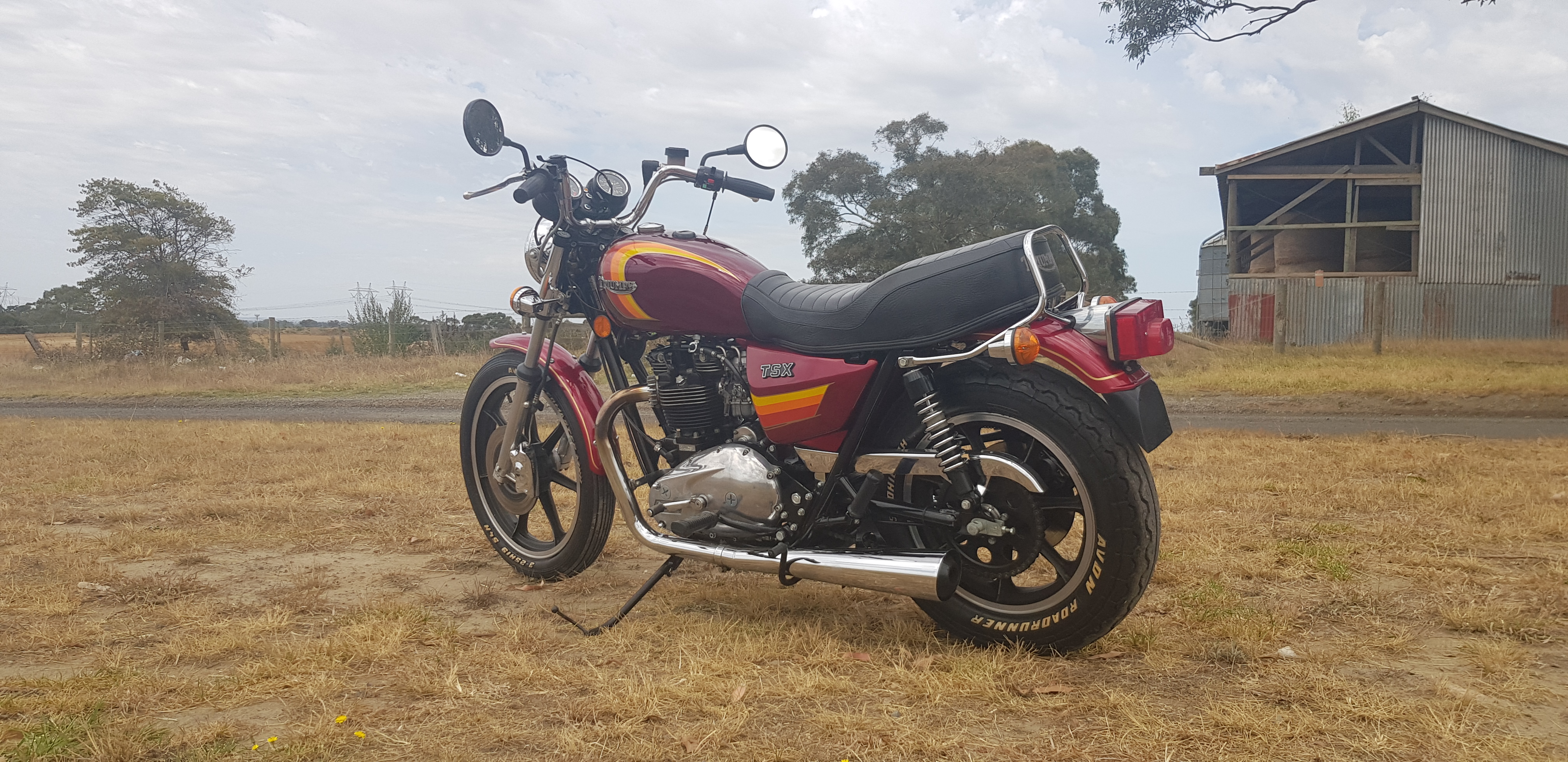 1982 Triumph TSX