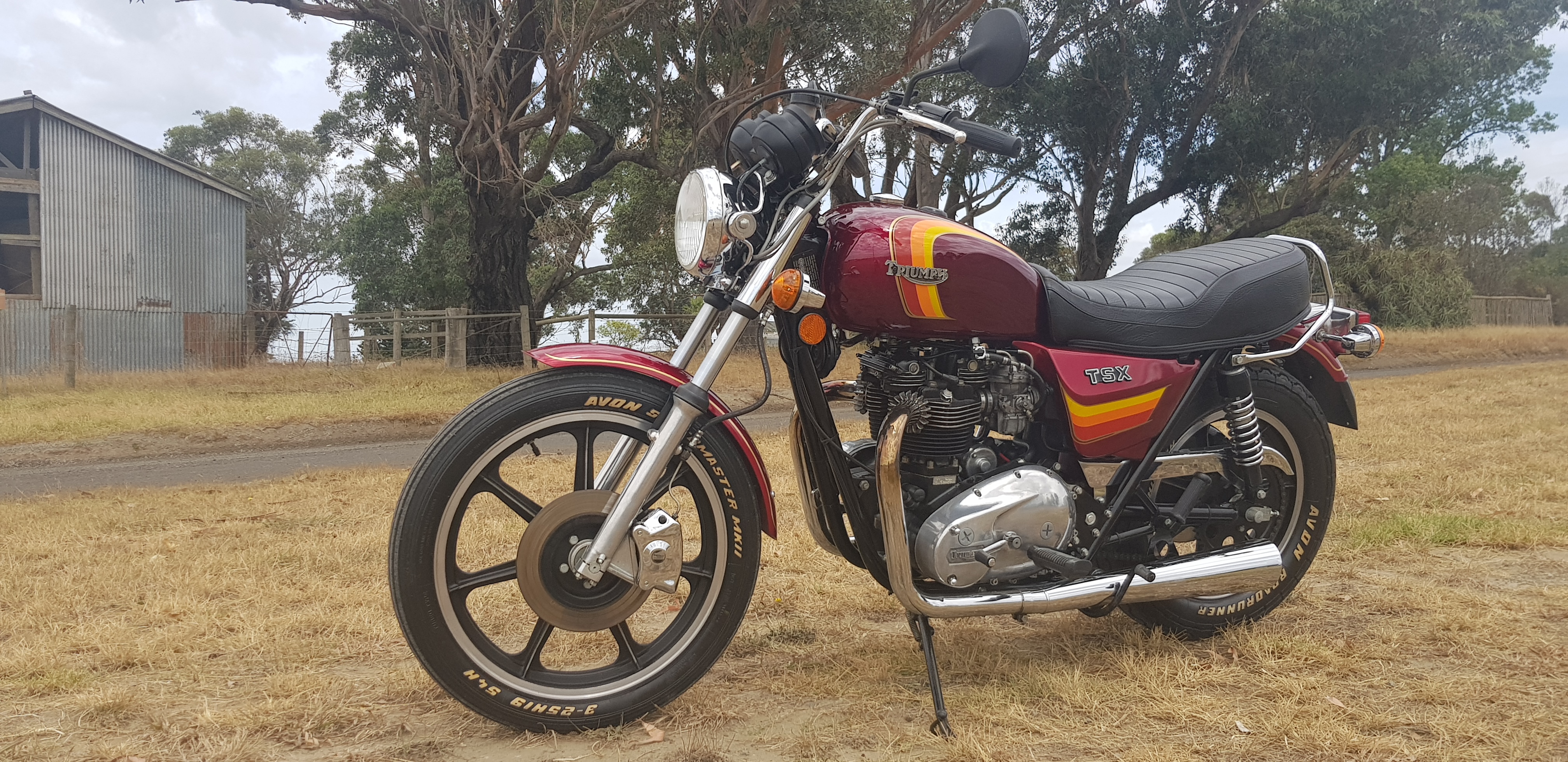 1982 Triumph TSX