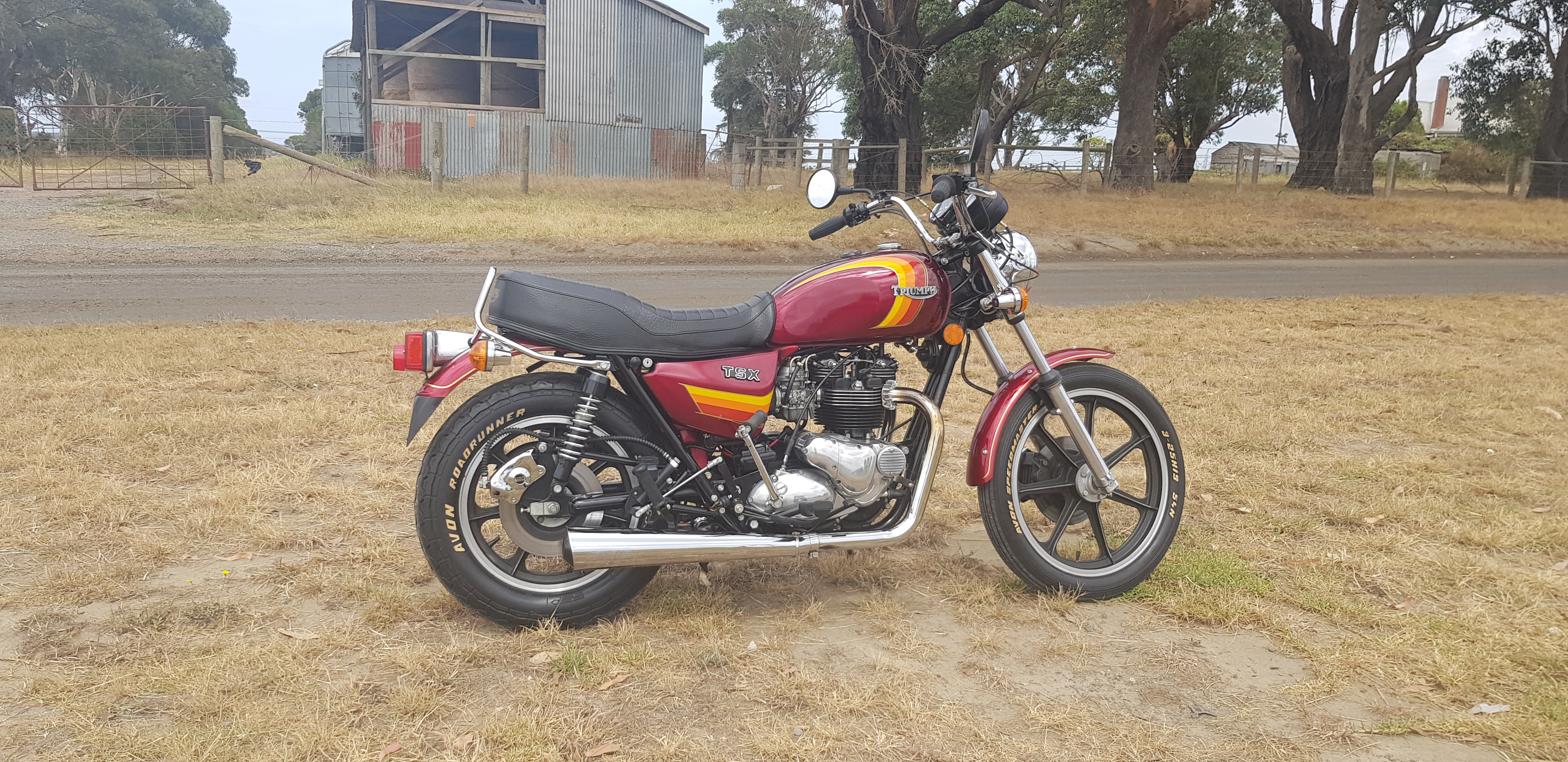 1982 Triumph TSX