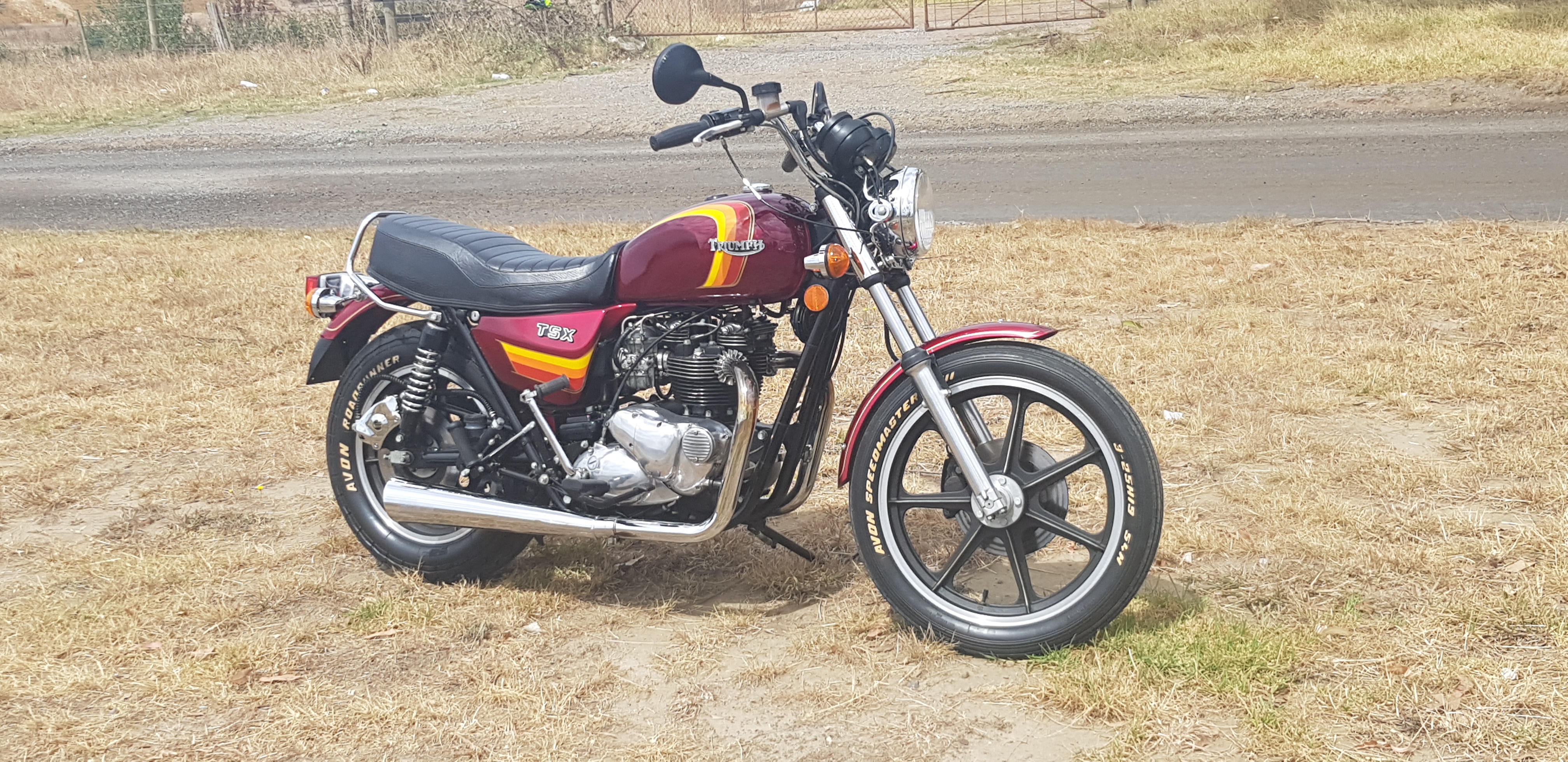 1982 Triumph TSX