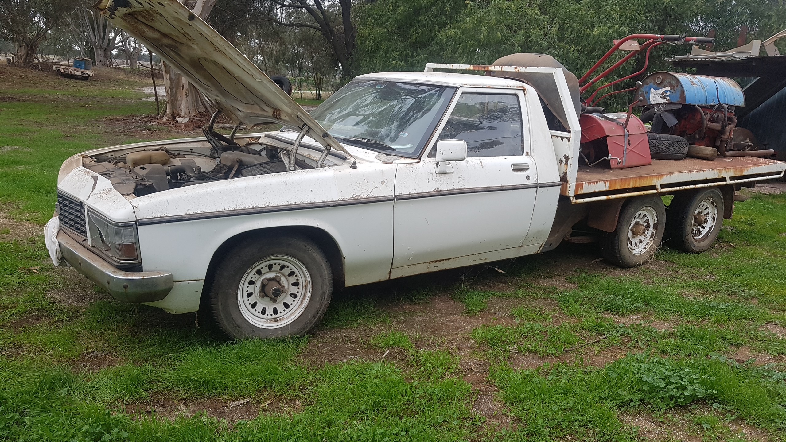 1981 HOLDEN WB UTILITY