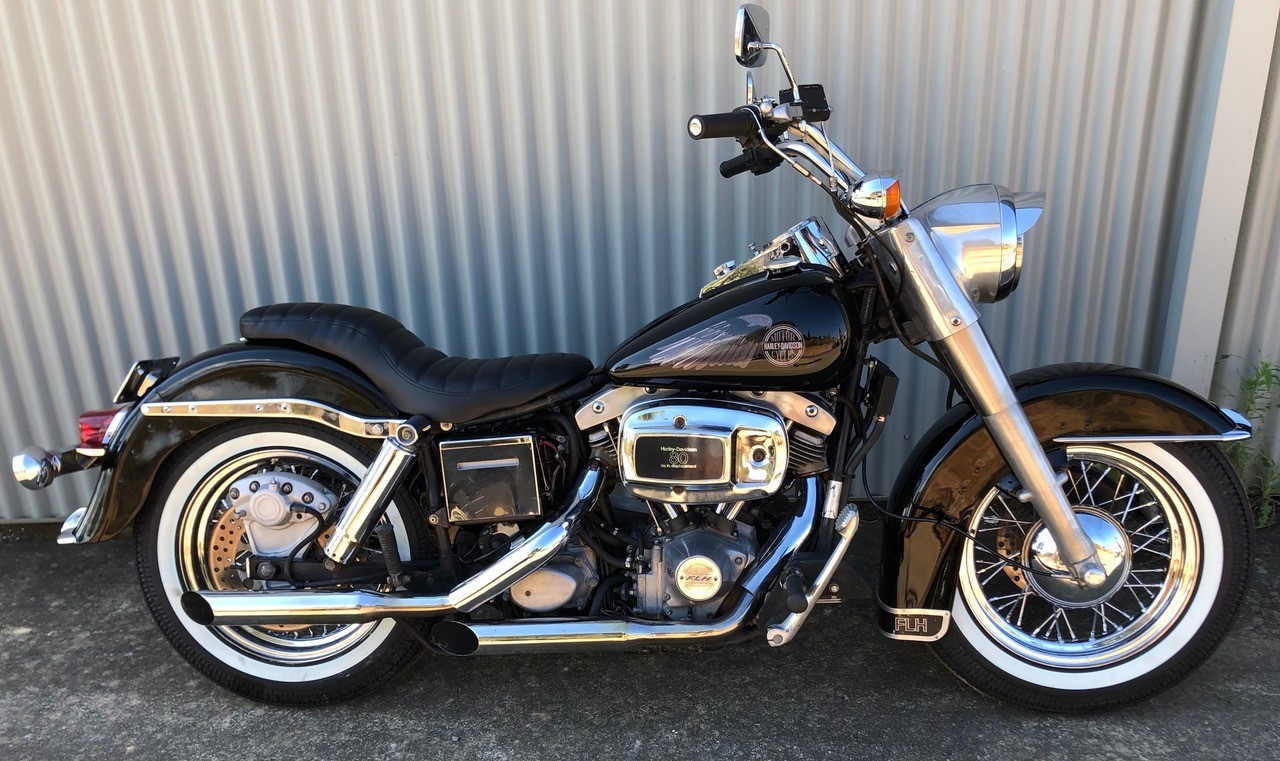 1982 HARLEY-DAVIDSON FLHS CRUISER