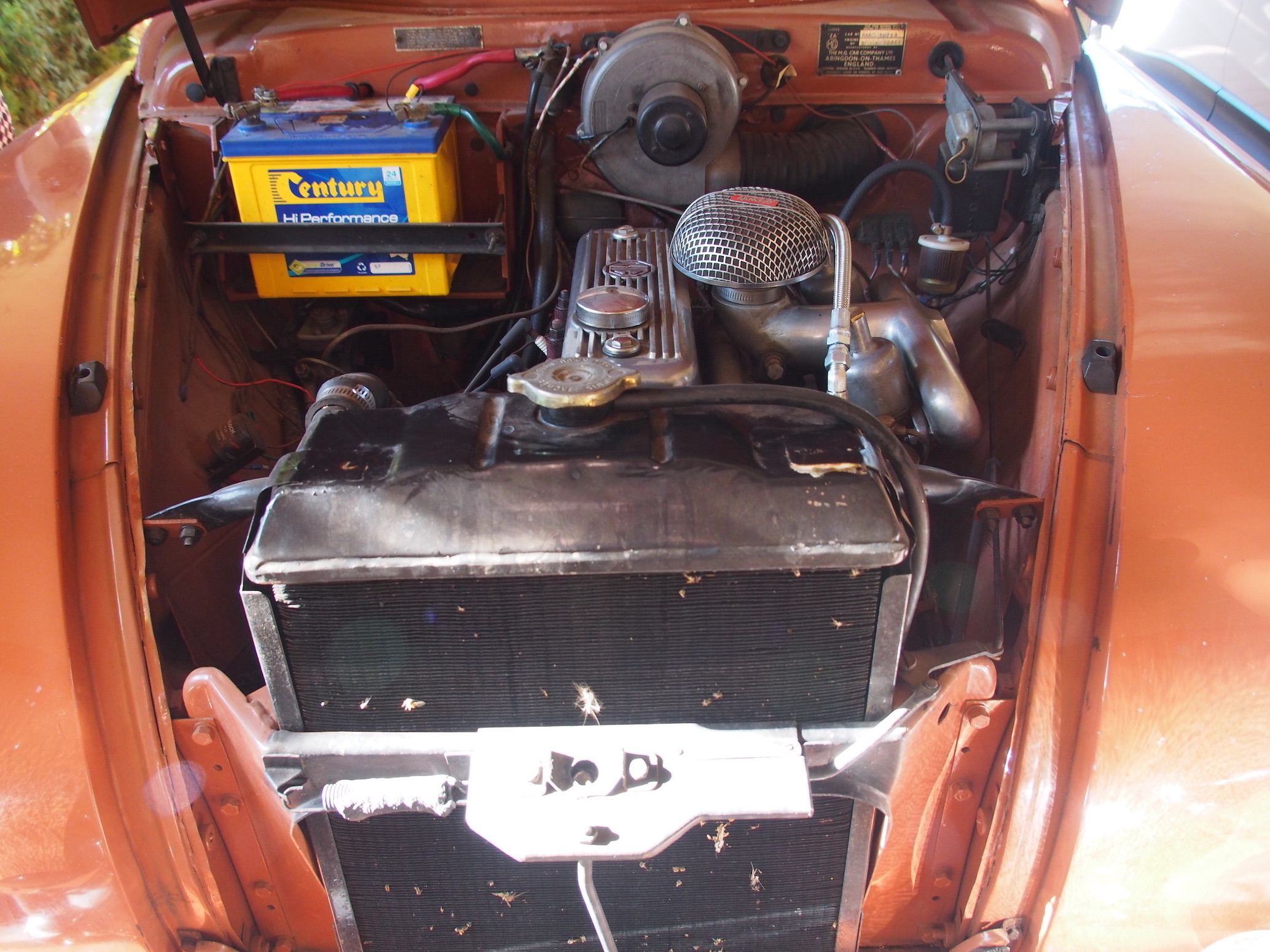 1955 MG MAGNETTE